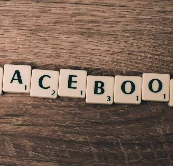 premium website services offered