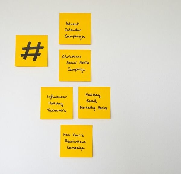 seo campaigns for success